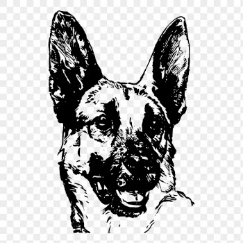 German Shepherd dog png drawing | Free PNG - rawpixel