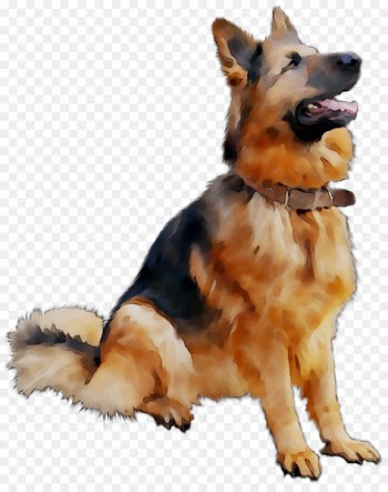 German Shepherd Golden Retriever Portable Network Graphics Puppy Clip art -  