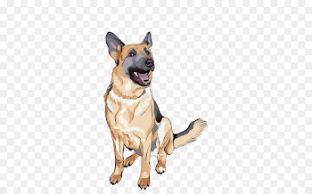 German Shepherd Golden Retriever Puppy Vector graphics Stock illustration - golden retriever 