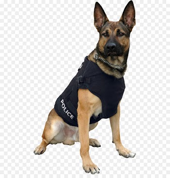 German Shepherd Police dog Bullet Proof Vests Gilets - missing-persons 