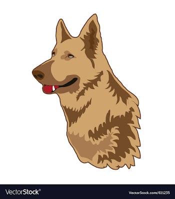 German shepherd vector image