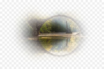 Germany national football team Stock photography Water - water 