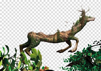 Germany Robin Wood Nature Advertising Environment, Jungle trees transparent background PNG clipart