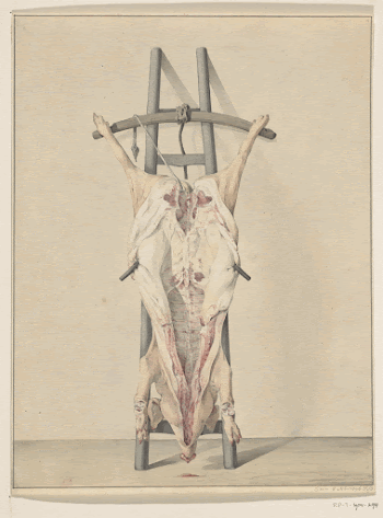 Geslacht varken (1796) drawing in high | Free Photo - rawpixel