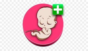 Gestation Ectopic pregnancy Calculated TrashBox - pregnancy 