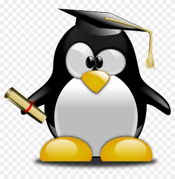 Get Notified Of Exclusive Freebies - Graduation Penguin Clipart