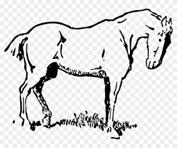 Get Notified Of Exclusive Freebies - Horse Clipart