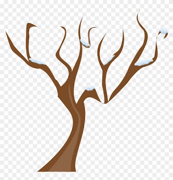 Get Notified Of Exclusive Freebies - Tree Without Leaves Clipart