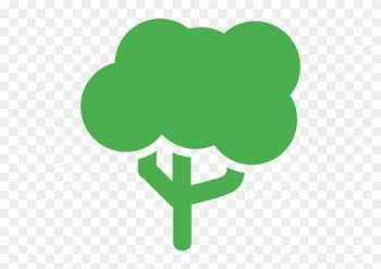 Get Rid Of Dangerous Or Unsightly Trees As These Can - Tree