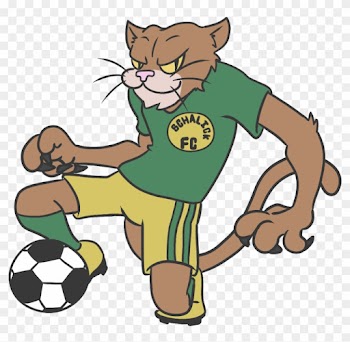 Get Your Kicks And Up To Date Fix With The Schalick - Cartoon