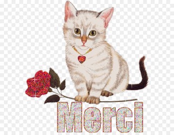 Gfycat Tenor WhatsApp - whatsapp 