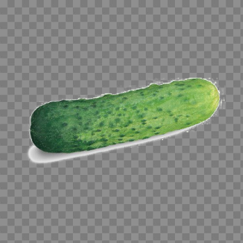 Gherkin PNG High-Quality Image