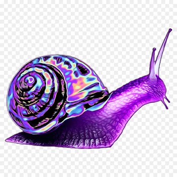 Giant African Snail Harlequin Orthogastropoda Garden snail - Snail 
