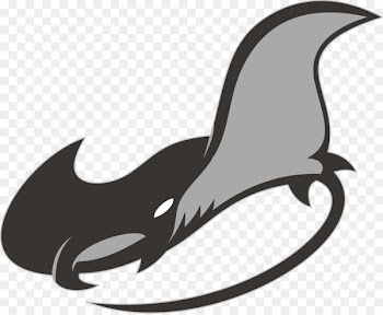 Giant oceanic manta ray Batoidea - ikan koi 