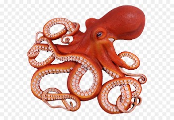 Giant Pacific octopus Clip art Fishing Drawing - Fishing 