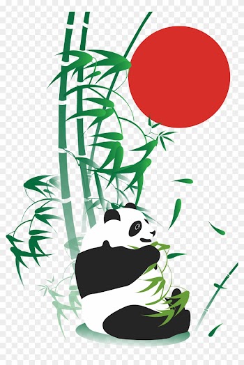 Giant Panda Bamboo Drawing Adobe Illustrator - Panda And Bamboo Drawing