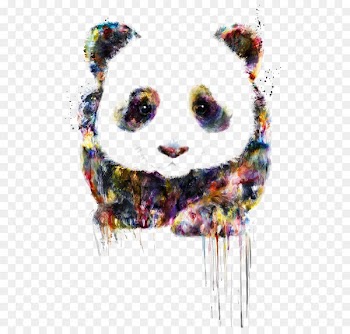 Giant panda Bear Cuteness Drawing Raccoon - panda 