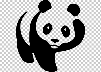 Giant Panda Bear Drawing Cartoon PNG, Clipart, Animals, Art ...