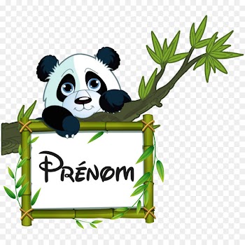 Giant panda Bear Sticker Image Decal - bear 