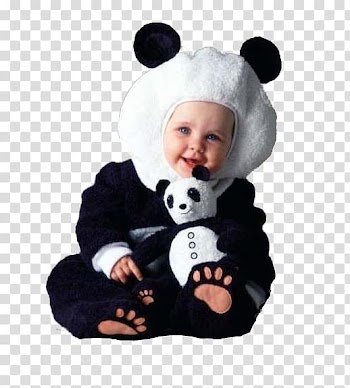 Giant panda Disguise Infant Bear Child, bear transparent background PNG clipart