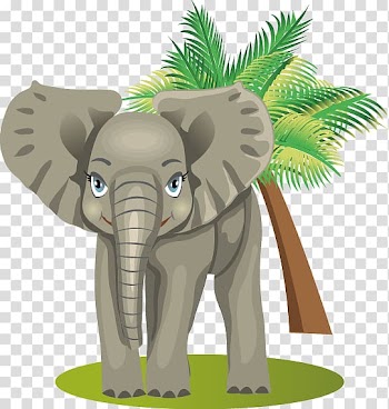 Giant panda Hippopotamus Animal , Elephant transparent background PNG clipart