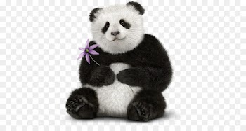 Giant panda Play-A-Lot Bear Television Instagram - bear 