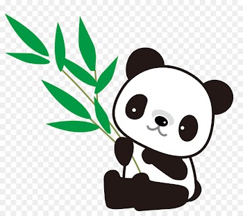 Giant panda Red panda Bear Drawing Bamboo - bear 