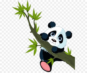 Giant panda Sticker Wall decal Red panda - panda 