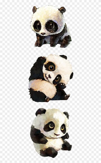 Giant Panda Tibetan Mastiff Red Panda Baby Pandas Bear - Baby Panda Drawing