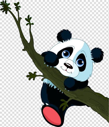 Giant panda Tree climbing Cuteness , Panda climbing a tree transparent background PNG clipart