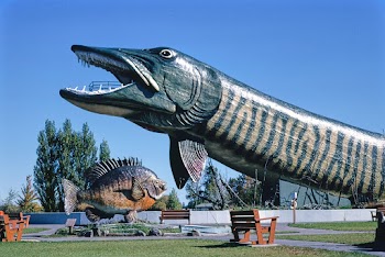 Giant pike side view, Fishing Hall of Fame,… | Free public domain photo