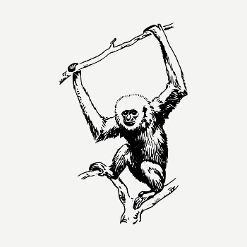 Gibbon clipart illustration psd. Free | Free PSD - rawpixel