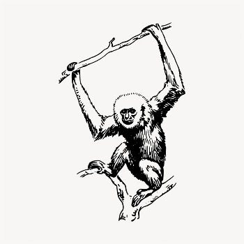 Gibbon illustration clipart vector. Free | Free Vector - rawpixel
