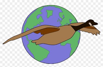 Giess Graduate Interdisciplinary Earth Science Symposia - Giess Graduate Interdisciplinary Earth Science Symposia