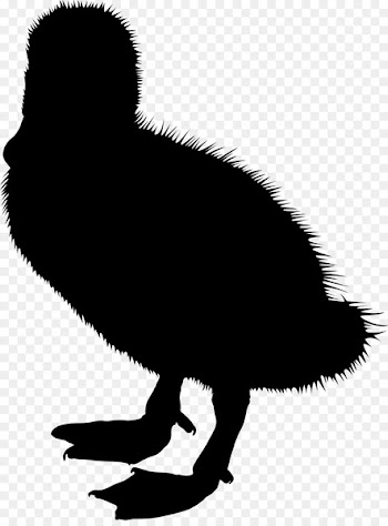 GIF Ducks, Geese and Swans Clip art Image Black -  