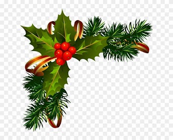 Gif Flor De Pascua - Christmas Frame Border Png
