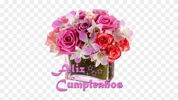 Gifs Animados Con Movimiento De Flores Feliz Cumpleaños - Pink Roses