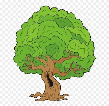 Gifs De Árvores, Imagens De Árvores Png Fundo Transparente - Tree Clip Art Big