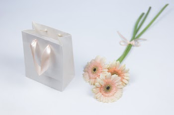 Gift bag