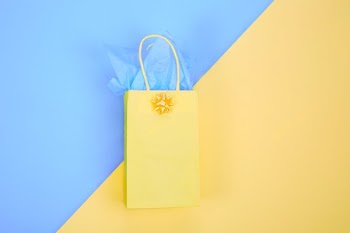 Gift Bag With Bow