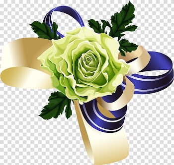 Gift card, hand-drawn bow transparent background PNG clipart