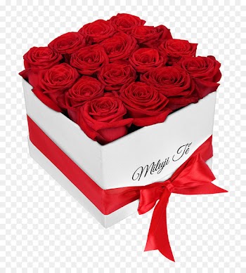 Gift Cardboard box Rose Flower Frutiko.cz - flower title box 
