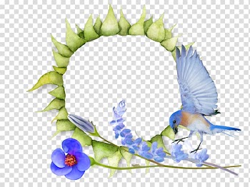 Gift Guestbook Online community Online chat, gift transparent background PNG clipart