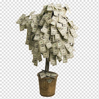 Gift Money Wedding invitation Tree, gift transparent background PNG clipart