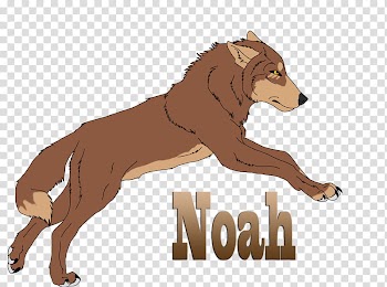 Gift: Noah transparent background PNG clipart