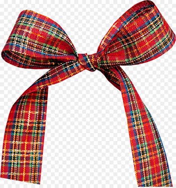 Gift Ribbon Icon - Plaid bow 