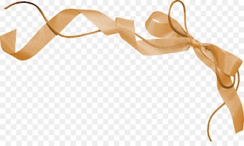 Gift Shoelace knot Ribbon - Bow 