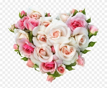 Gift Wedding Rose Heart Flower Bouquet - Pink And White Roses Background