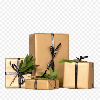 Gift Wrapping, Gift, Haeckels, Branch, Bamboo PNG