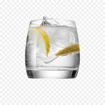 Gin and tonic Cocktail Gin Fizz - cocktail 